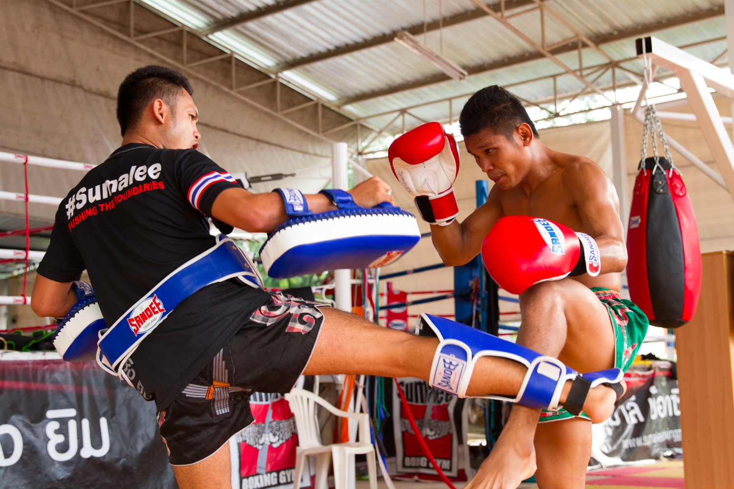 Sandee thai boxing sales